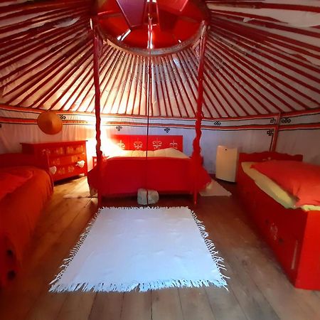 B&B L'Albatros Fayence Exteriör bild