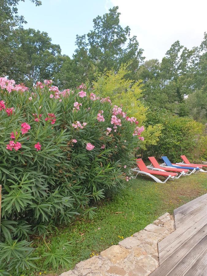 B&B L'Albatros Fayence Exteriör bild
